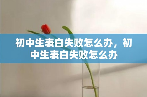 初中生表白失败怎么办，初中生表白失败怎么办