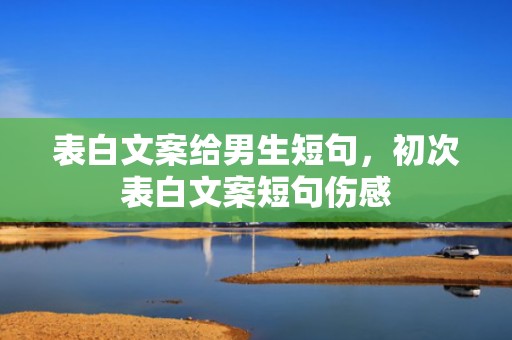 表白文案给男生短句，初次表白文案短句伤感