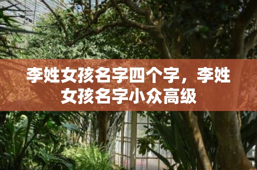 李姓女孩名字四个字，李姓女孩名字小众高级