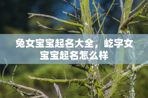 兔女宝宝起名大全，屹字女宝宝起名怎么样
