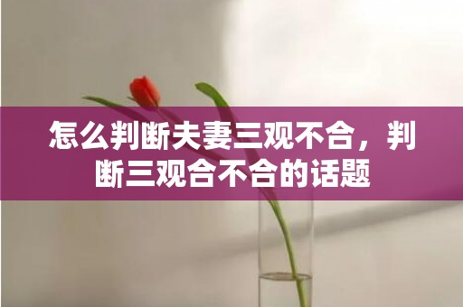 怎么判断夫妻三观不合，判断三观合不合的话题