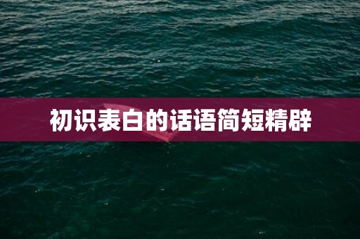 初识表白的话语简短精辟