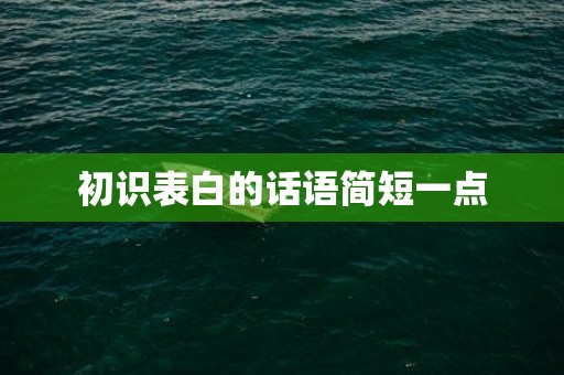 初识表白的话语简短一点