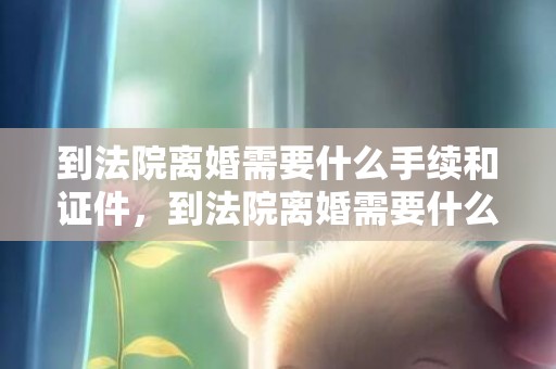 到法院离婚需要什么手续和证件，到法院离婚需要什么手续费