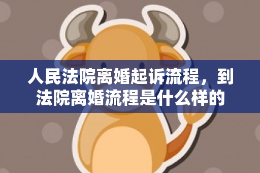 人民法院离婚起诉流程，到法院离婚流程是什么样的
