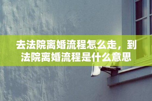 去法院离婚流程怎么走，到法院离婚流程是什么意思
