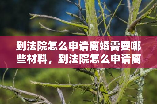 到法院怎么申请离婚需要哪些材料，到法院怎么申请离婚流程