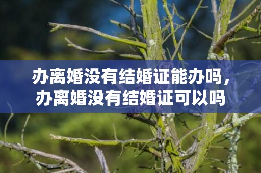 办离婚没有结婚证能办吗，办离婚没有结婚证可以吗