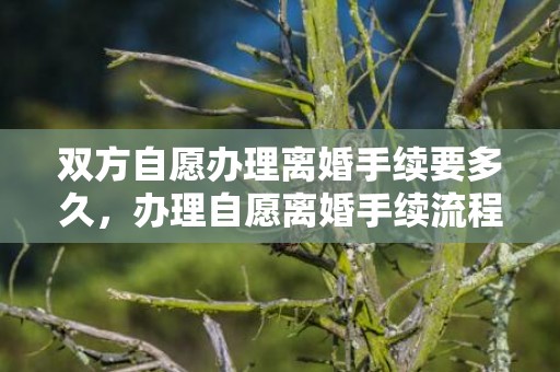双方自愿办理离婚手续要多久，办理自愿离婚手续流程