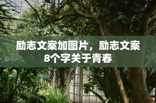 励志文案加图片，励志文案8个字关于青春
