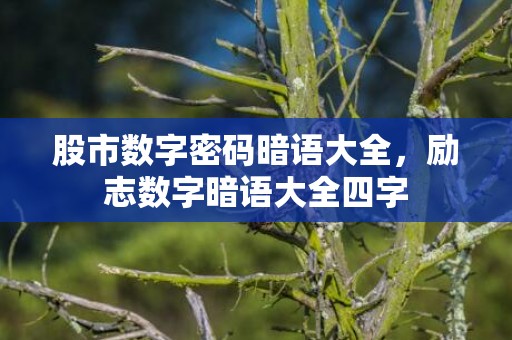 股市数字密码暗语大全，励志数字暗语大全四字