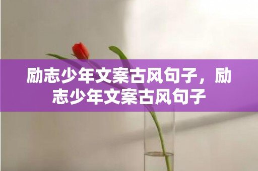 励志少年文案古风句子，励志少年文案古风句子