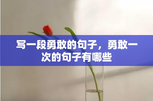 写一段勇敢的句子，勇敢一次的句子有哪些