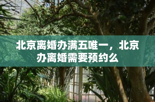 北京离婚办满五唯一，北京办离婚需要预约么