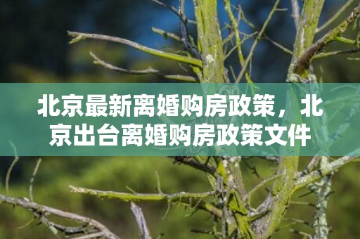 北京最新离婚购房政策，北京出台离婚购房政策文件