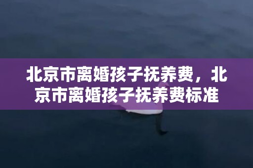 北京市离婚孩子抚养费，北京市离婚孩子抚养费标准