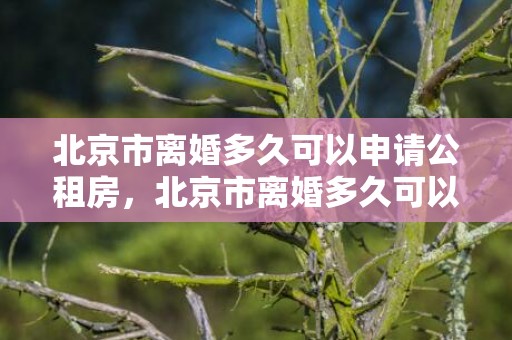 北京市离婚多久可以申请公租房，北京市离婚多久可以买房