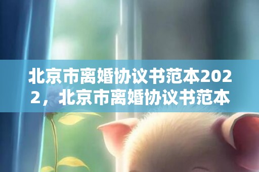 北京市离婚协议书范本2022，北京市离婚协议书范本