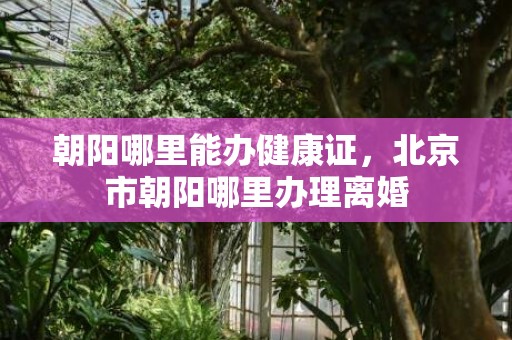 朝阳哪里能办健康证，北京市朝阳哪里办理离婚