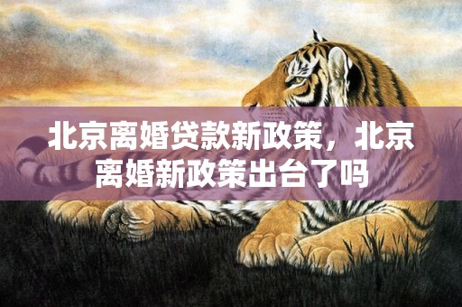 北京离婚贷款新政策，北京离婚新政策出台了吗