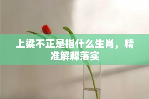 上梁不正是指什么生肖，精准解释落实