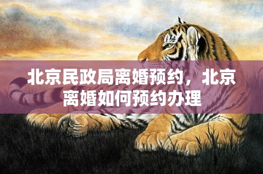 北京民政局离婚预约，北京离婚如何预约办理