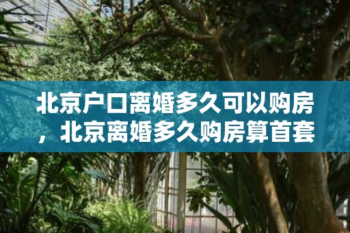 北京户口离婚多久可以购房，北京离婚多久购房算首套房