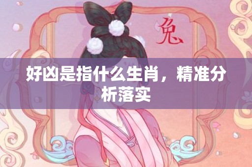好凶是指什么生肖，精准分析落实