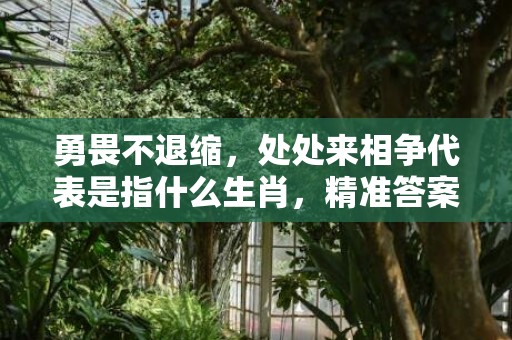 勇畏不退缩，处处来相争代表是指什么生肖，精准答案落实