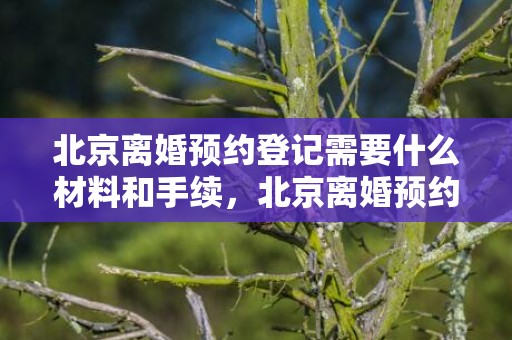 北京离婚预约登记需要什么材料和手续，北京离婚预约登记查询