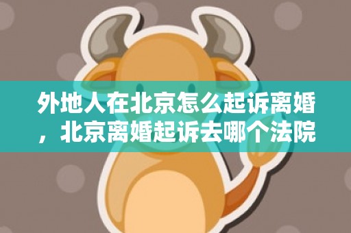 外地人在北京怎么起诉离婚，北京离婚起诉去哪个法院