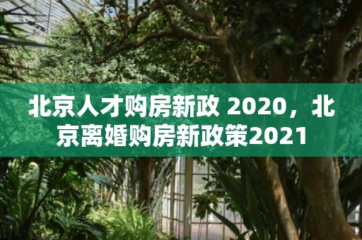 北京人才购房新政 2020，北京离婚购房新政策2021