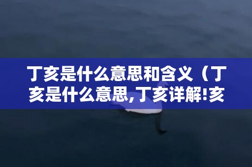 丁亥是什么意思和含义（丁亥是什么意思,丁亥详解!亥与丁的关系）