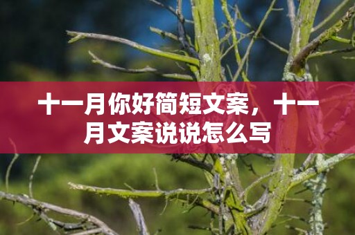 十一月你好简短文案，十一月文案说说怎么写
