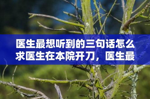 医生最想听到的三句话怎么求医生在本院开刀，医生最想听到的三句话