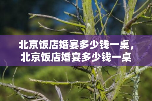 北京饭店婚宴多少钱一桌，北京饭店婚宴多少钱一桌