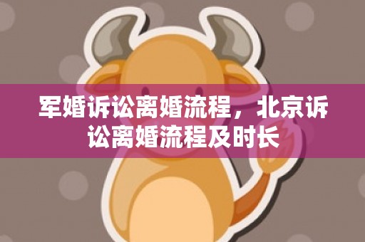 军婚诉讼离婚流程，北京诉讼离婚流程及时长