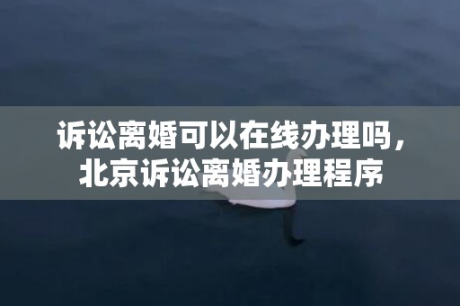 诉讼离婚可以在线办理吗，北京诉讼离婚办理程序