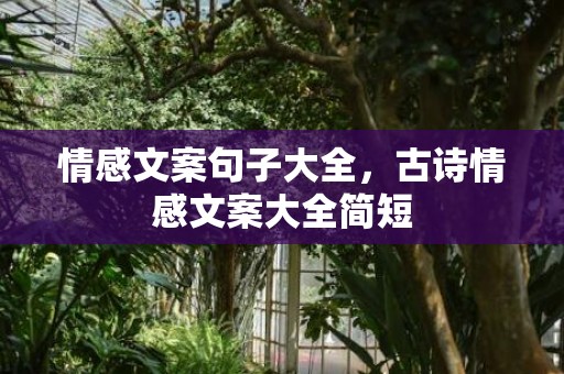 情感文案句子大全，古诗情感文案大全简短