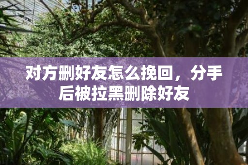对方删好友怎么挽回，分手后被拉黑删除好友