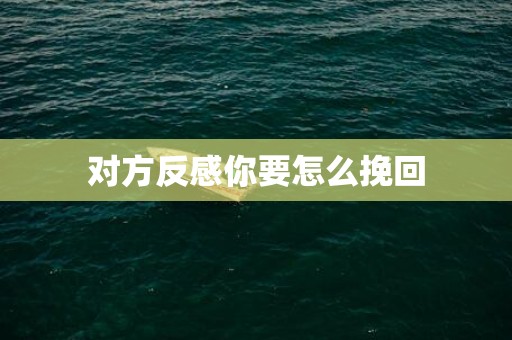 对方反感你要怎么挽回
