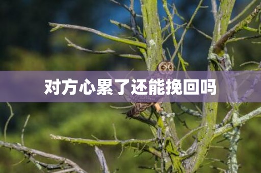 对方心累了还能挽回吗
