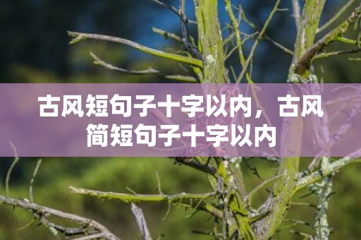 古风短句子十字以内，古风简短句子十字以内