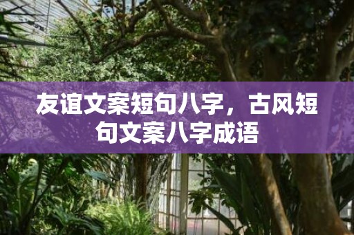 友谊文案短句八字，古风短句文案八字成语