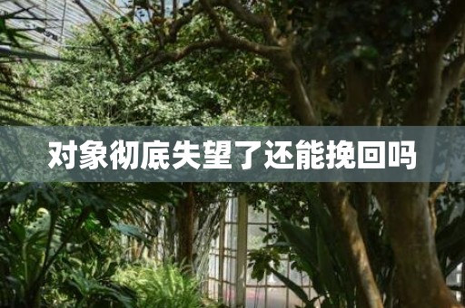 对象彻底失望了还能挽回吗