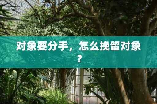 对象要分手，怎么挽留对象？