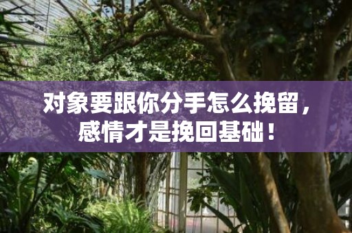 对象要跟你分手怎么挽留，感情才是挽回基础！