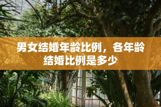 男女结婚年龄比例，各年龄结婚比例是多少