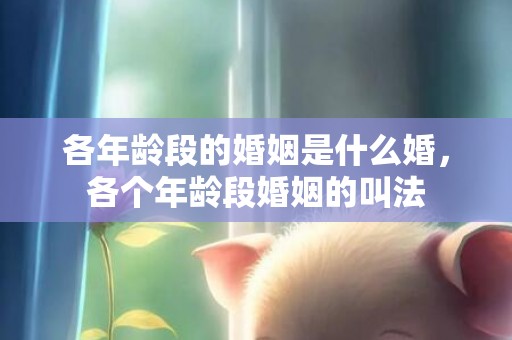 各年龄段的婚姻是什么婚，各个年龄段婚姻的叫法
