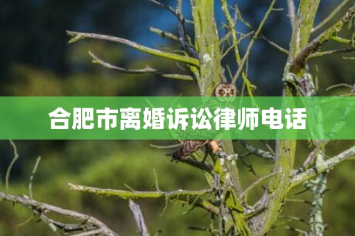 合肥市离婚诉讼律师电话